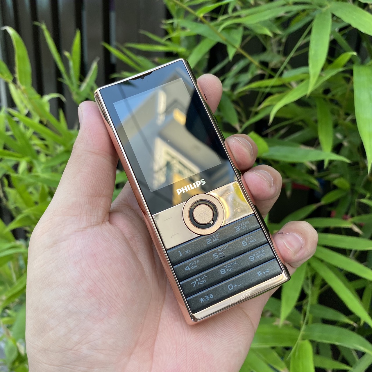 Mạ vàng Philip x 513